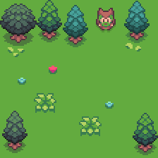 Enchanted Forest