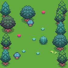 Enchanted Forest