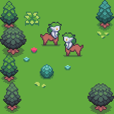 Enchanted Forest