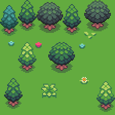 Enchanted Forest