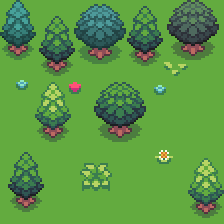 Enchanted Forest