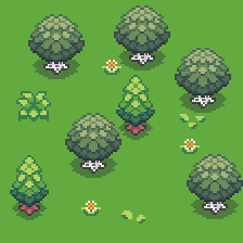 Forest