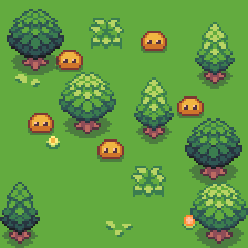 Forest
