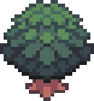 Ash Tree