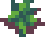Nettle