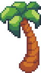 Palm Tree