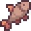 Salmon Spot